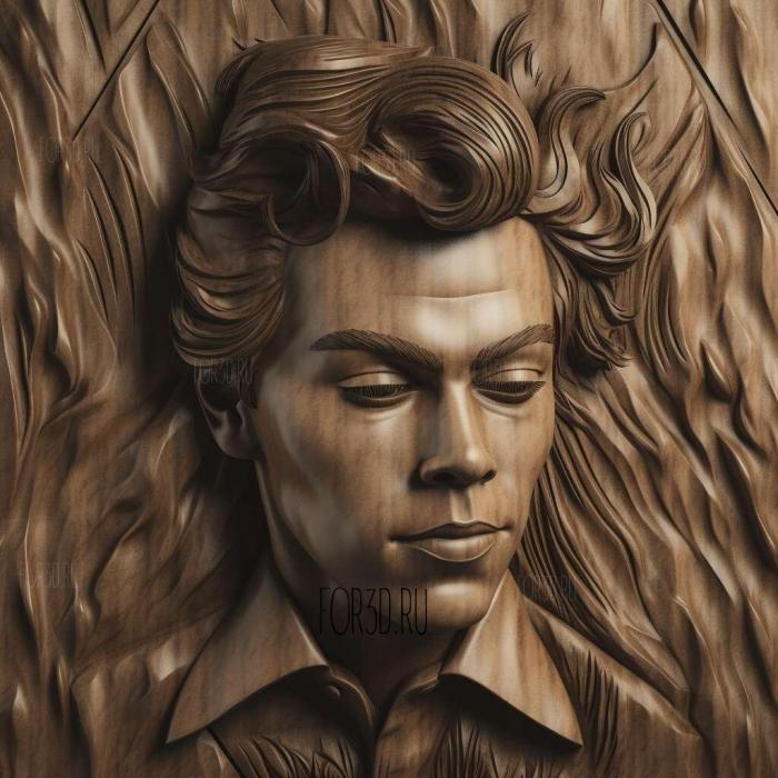 Harry Styles 1 stl model for CNC